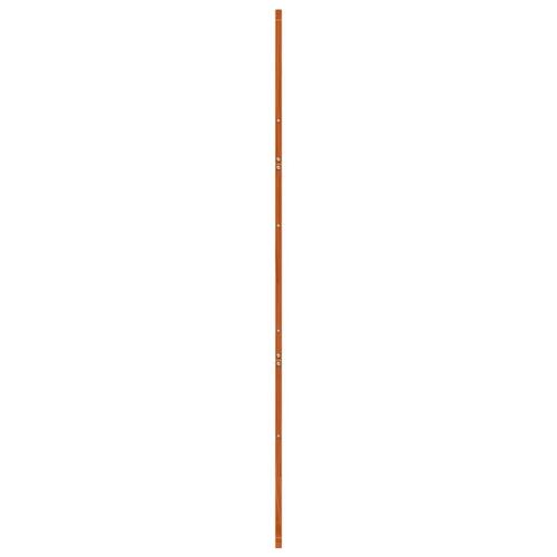 Skydedør 80x208 cm massivt fyrretræ gyldenbrun