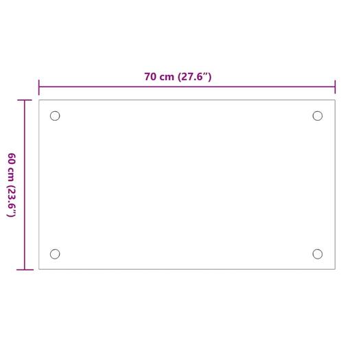 Stænkplader 2 stk. 70x60 cm hærdet glas gennemsigtig