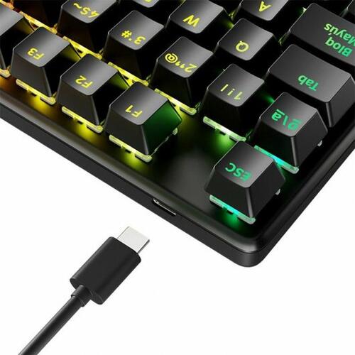 Gaming-tastatur Newskill Serike V2 Spansk qwerty