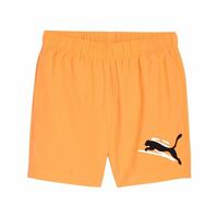 Sport Shorts Puma Essentials+ AB M