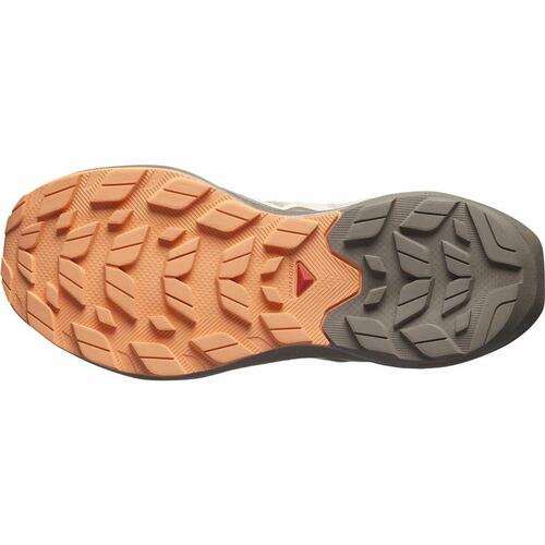 Sportssneakers til damer Salomon Elixir Activ 40
