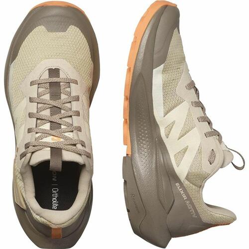 Sportssneakers til damer Salomon Elixir Activ 38