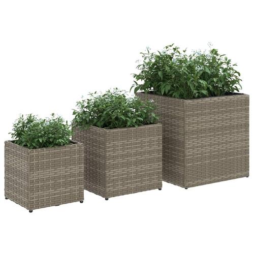 Plantekasser 3 stk. polyrattan grå