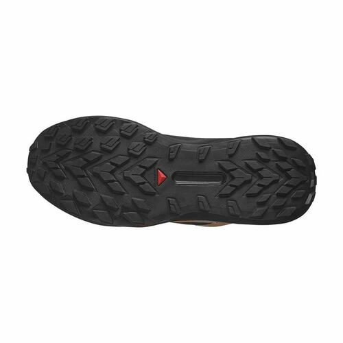Løbesko til voksne Salomon Genesis Dragon Orange 46