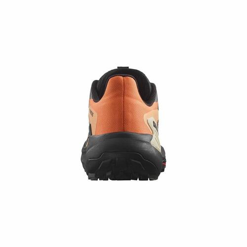 Løbesko til voksne Salomon Genesis Dragon Orange 46