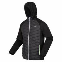 Sportsjakke til Mænd Regatta Andreson VIII Hybrid M