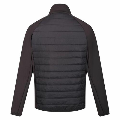 Sportsjakke til Mænd Regatta Andreson VIII Hybrid M