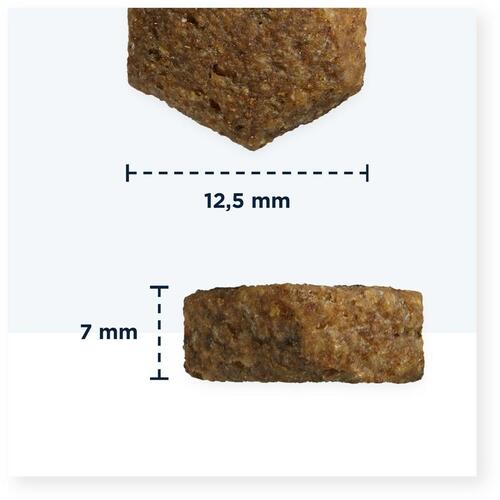Foder Eukanuba Puppy large breed grain free ocean fish Fisk 3 Kg