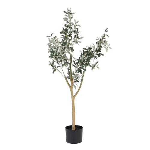 Dekorativ plante Polyester Polyetylen Oliven 55 x 60 x 112 cm