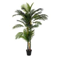 Dekorativ plante 100 x 130 x 210 cm Grøn PVC Palmera