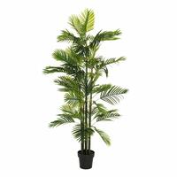 Dekorativ plante Grøn PVC 170 cm Palmera