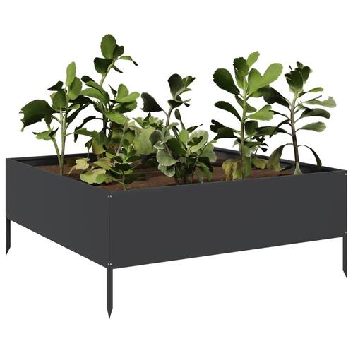 Højbed 100x100x25 cm stål sort