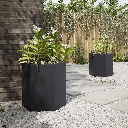 Plantekasser 2 stk. 46x40x45 cm sekskantet stål sort