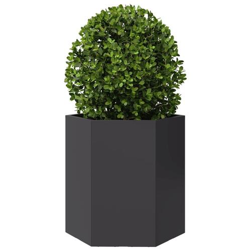 Plantekasser 2 stk. 46x40x45 cm sekskantet stål sort
