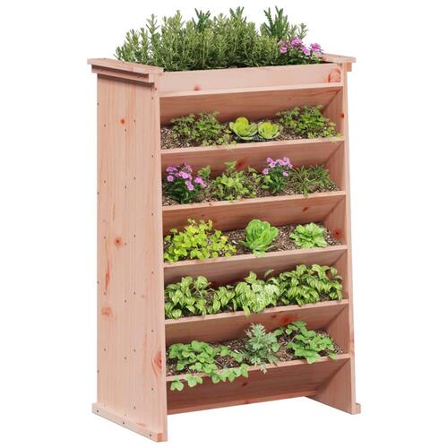 Plantevæg 69x40x101,5 cm 6 niveauer massivt douglasgran