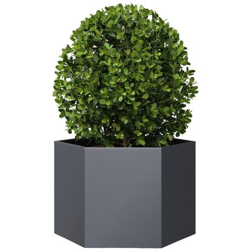Plantekasse 69x60x45 cm sekskantet stål antracitgrå