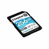 SD-hukommelseskort Kingston SDG3/256GB 256GB 256 GB