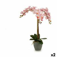 Dekorativ plante Orkide Plastik 29 x 78 x 35 cm (2 enheder)