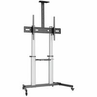 TV-holder Aisens FT100TE-259 100 kg 60" 100"