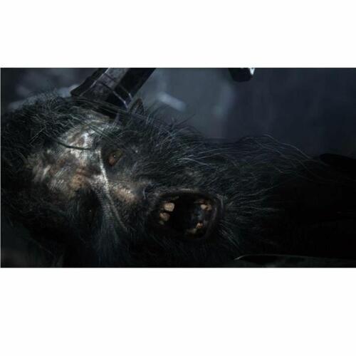 PlayStation 4 spil Sony Bloodborne PlayStation Hits