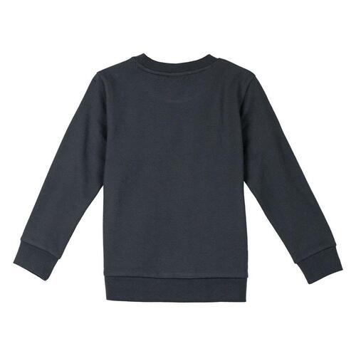 Sweaters uden Hætte til Børn The Lion King Mørkegrå 6 år