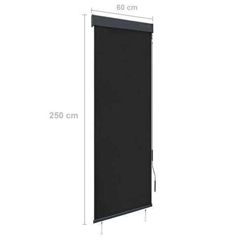 Udendørs rullegardin 60x250 cm antracitgrå