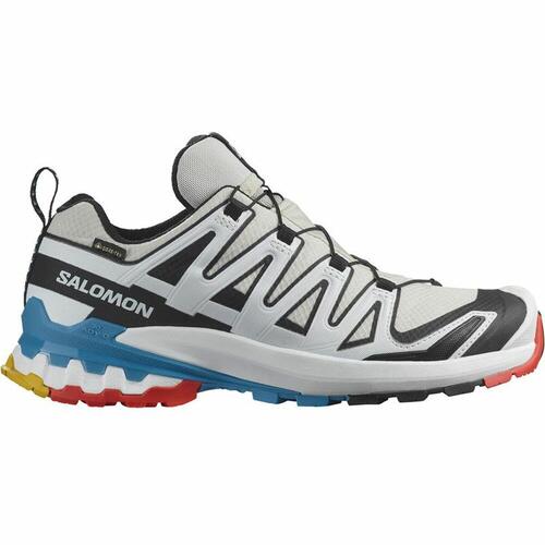 Løbesko til voksne Salomon XA Pro 3D V9 GTX Hvid 40