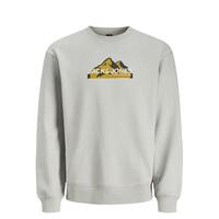 Sweaters uden Hætte til Mænd Jack & Jones SWEAT CREW NECK 12262094 Grå M