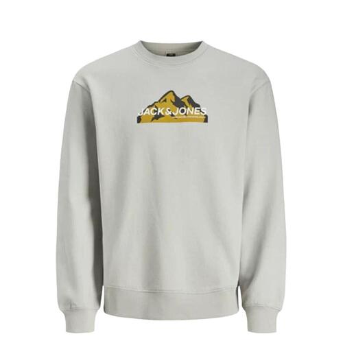 Sweaters uden Hætte til Mænd Jack & Jones SWEAT CREW NECK 12262094 Grå M