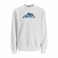 Sweaters uden Hætte til Mænd Jack & Jones SWEAT CREW NECK 12262094 Hvid L