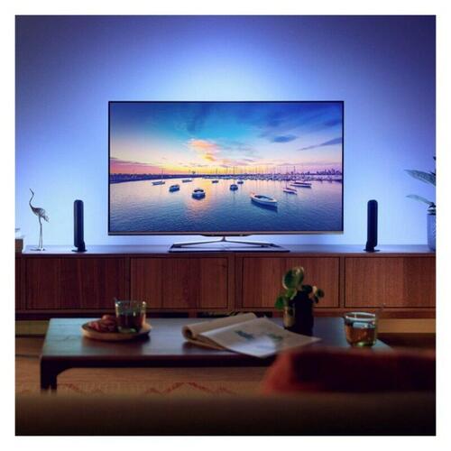 Bordlampe Philips Hue Color Play Sort 530 Lm