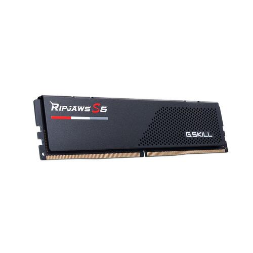RAM-hukommelse GSKILL S5 5600 MHz CL36 16 GB 32 GB DDR5 SDRAM DDR5