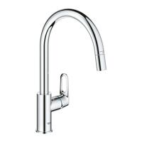 Hane med blandingsbatteri Grohe 30549000 Metal