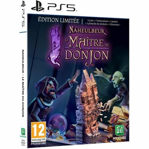 PlayStation 5 spil Microids Naheulbeuk : Le Maitre Du Donjon