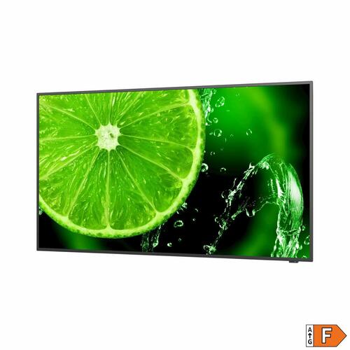 Videovæg Monitor NEC 60005059 LED 4K Ultra HD 65" 60 Hz 65"