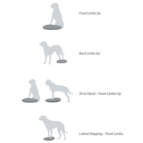FitPAWS balancebræt til kæledyr 56 cm bærfarvet