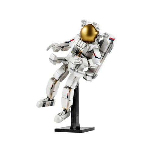 Playset Lego 31152 647 Dele