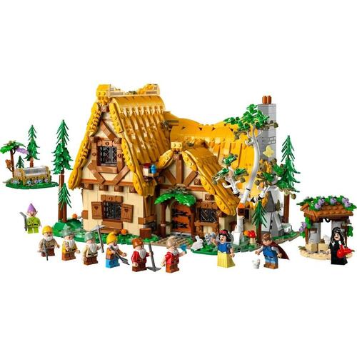 Playset Lego 43242 2228 Dele