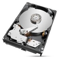 Harddisk Seagate ST2000NT001 3,5" 2 TB 2 TB SSD 2 TB HDD