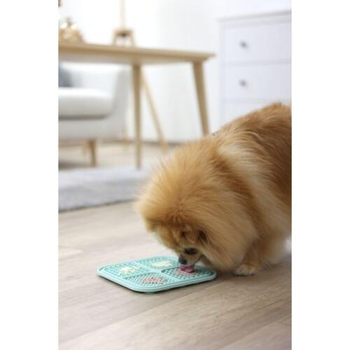 Kat Feeder Kerbl Turkisblå Plastik 20 x 20 cm