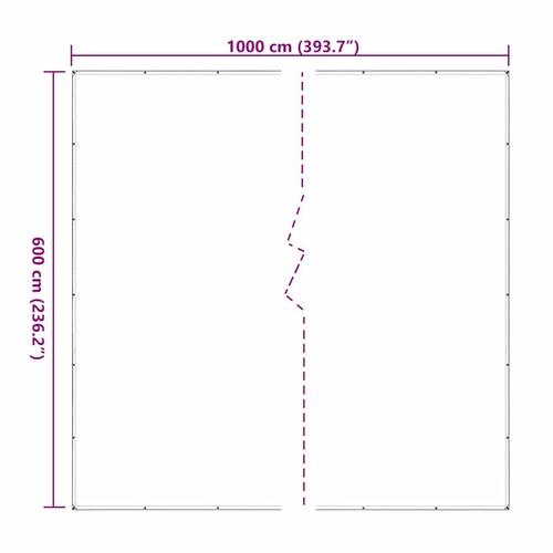 Klar presenning med øjer 6x10 m polyethylen