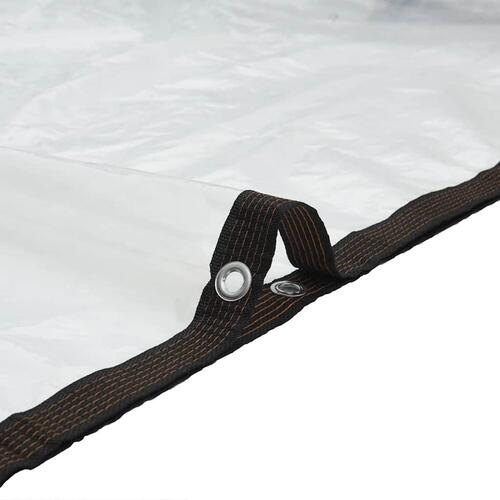 Klar presenning med øjer 5x10 m polyethylen