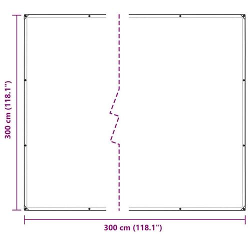 Klar presenning med øjer 3x3 m polyethylen