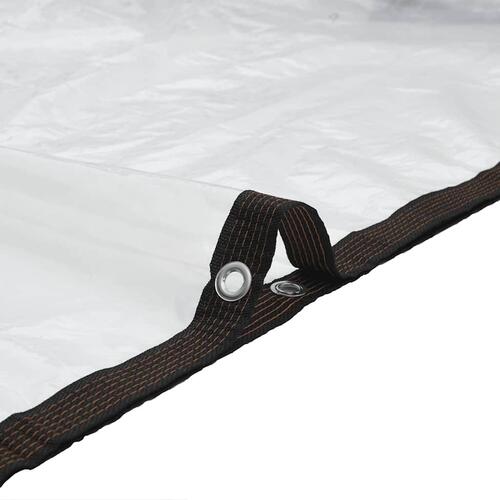 Klar presenning med øjer 5x8 m polyethylen