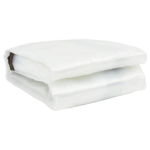 Klar presenning med øjer 1x10 m polyethylen