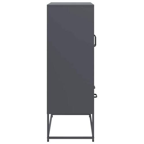 Skab 68x39x111,5 cm stål antracitgrå