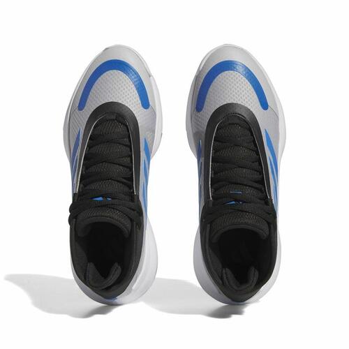 Basketballsko til voksne Adidas Bounce Legends Grå Lysegrå 46