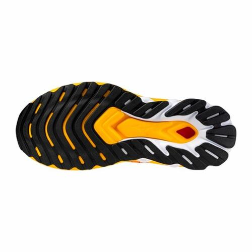 Løbesko til voksne Mizuno Wave Skyrise 5 Orange 46.5