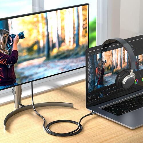 USB-C til HDMI-kabel Silver HT LOGAN Sort