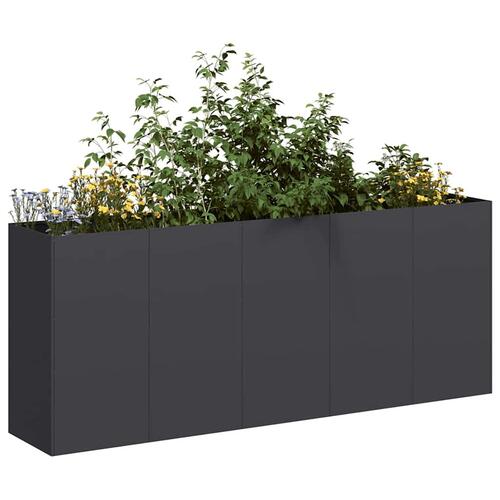 Plantekasse sort 200x40x80 cm koldvalset stål